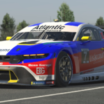 Car skin